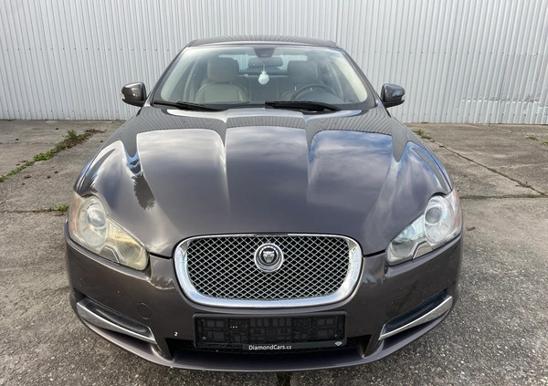 Jaguar XF cena 16700 przebieg: 244580, rok produkcji 2008 z Nysa małe 466